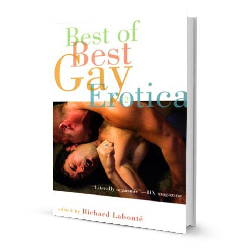 Best of Gay Erotica Novel Novelties and Games Fairmount Books 