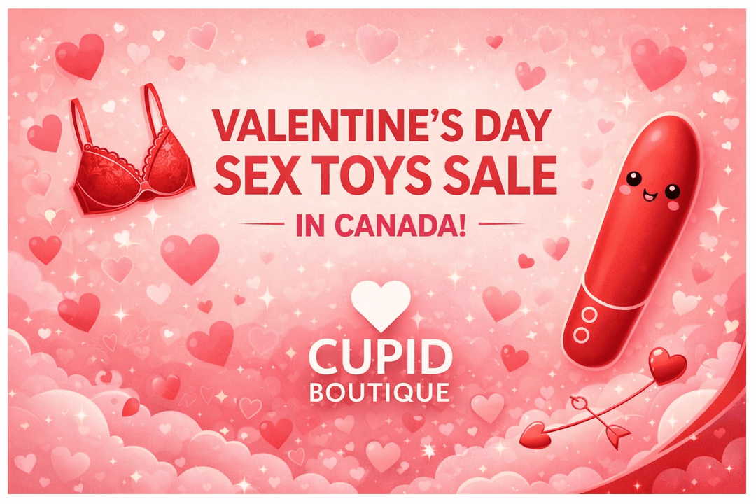 Valentine's Day Sex Toys