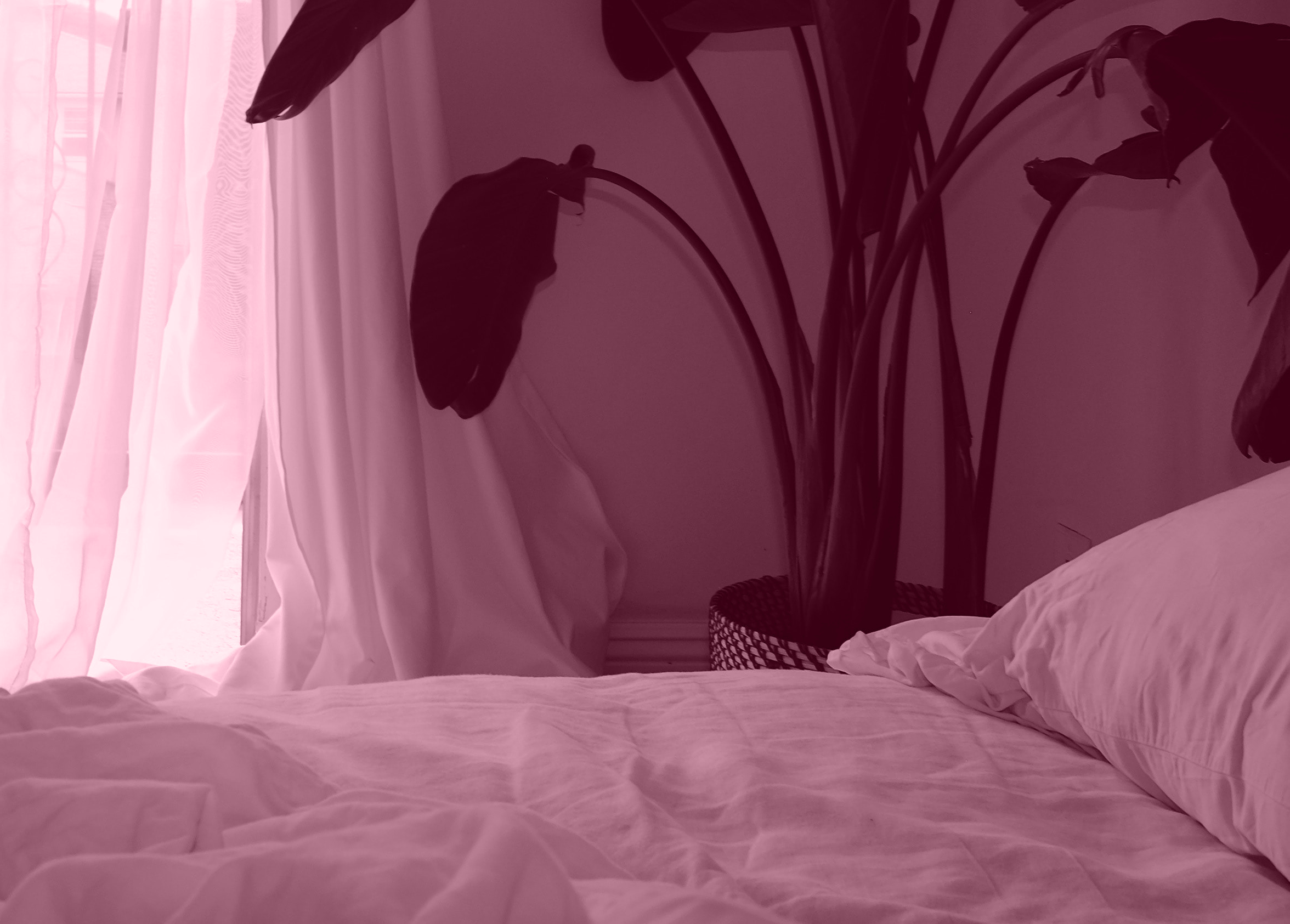 Canada's Adult toys & Sex Toys Superstore | Cupid Boutique Canada's Adult toys & Sex Toys Superstore | Cupid Boutique