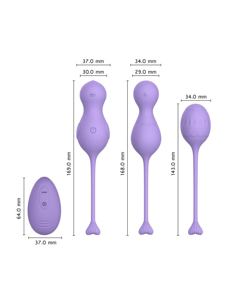 Heidi Remote Control Kegel Set
