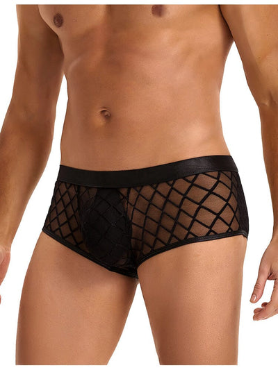 Sexy Sheer Boxer Underwear - Black L/XL