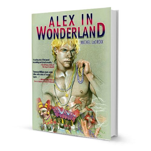 Alex In Wonderland Gay Erotica Novel Novelties and Games Fairmount Books 