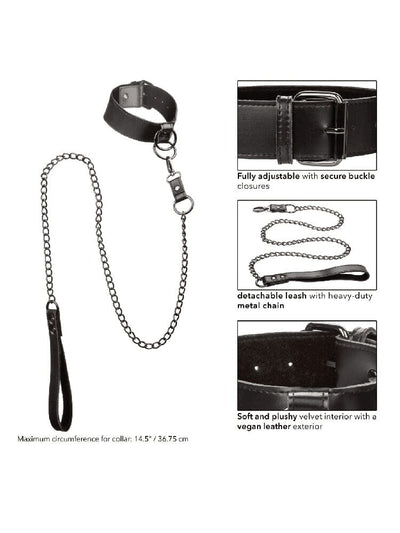 Euphoria Bondage Collection Leash & Collar Bondage & Fetish CalExotics Black/Silver