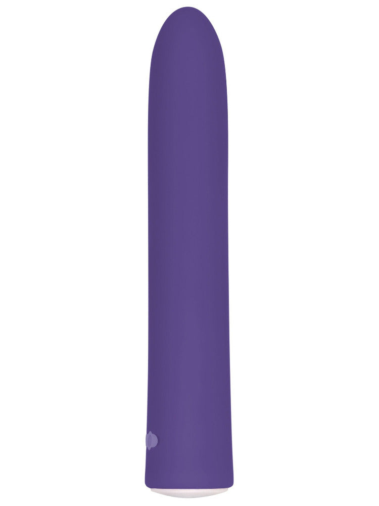 Rechargeable Slim Classic Vibrator Vibrators Evolved Novelties Purple