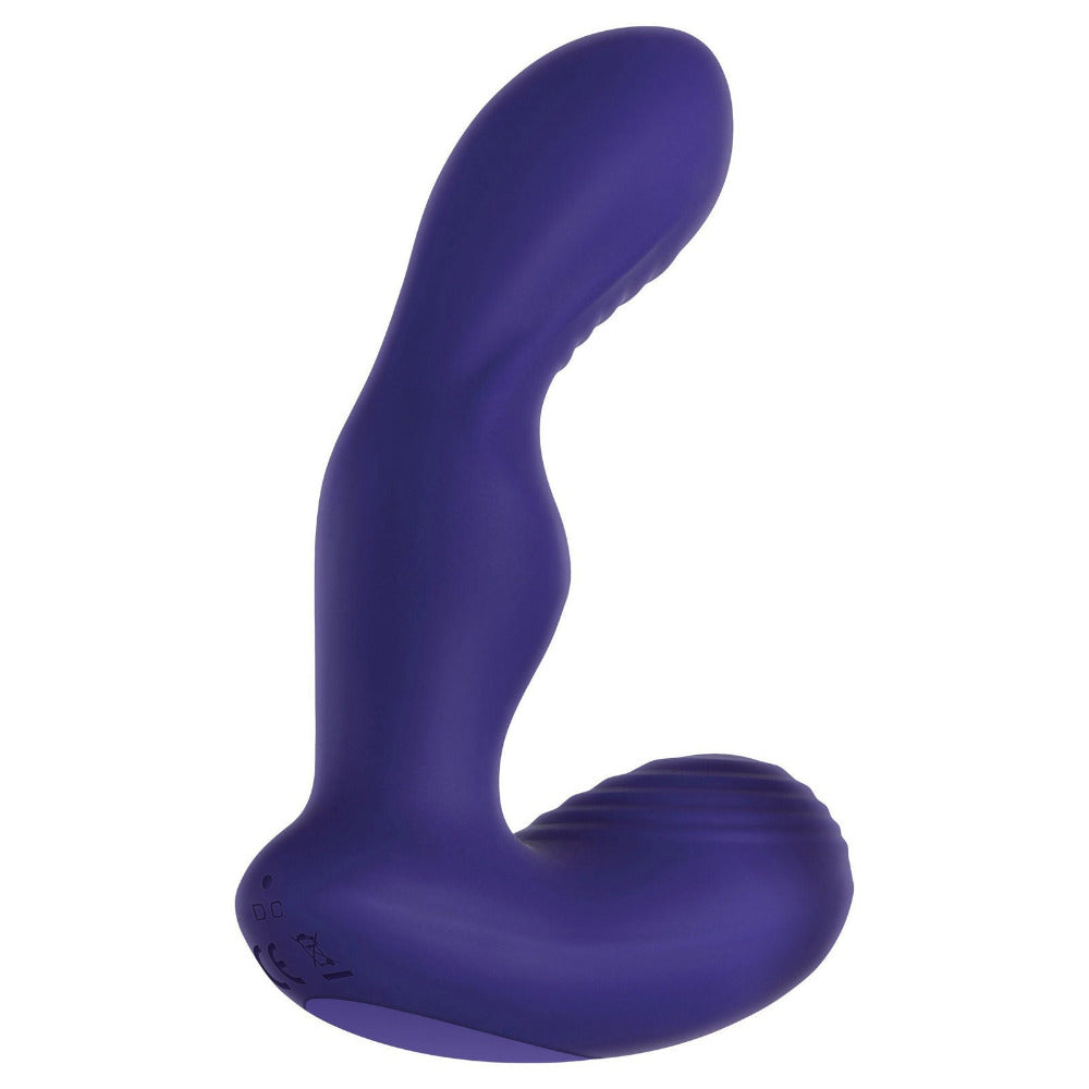 The Rocker Silicone Remote Prostate Probe Anal Toys Evolved Novelties Purple